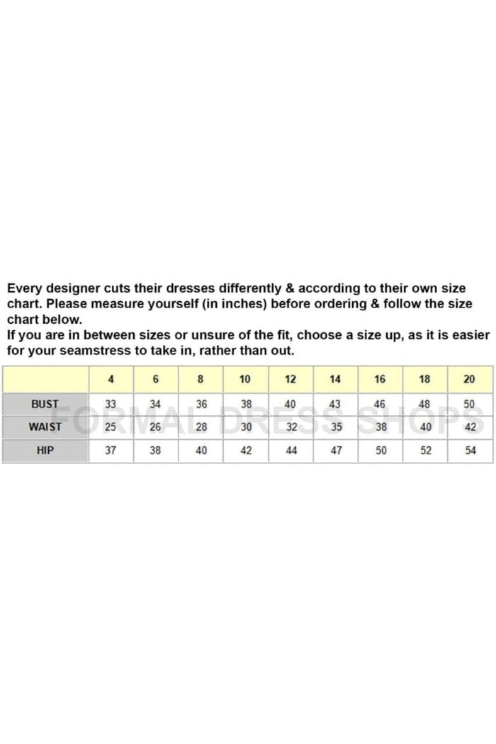 Royal Queen RQ8081 A-Line illusion Bodice Scoop Neck Gala Gown