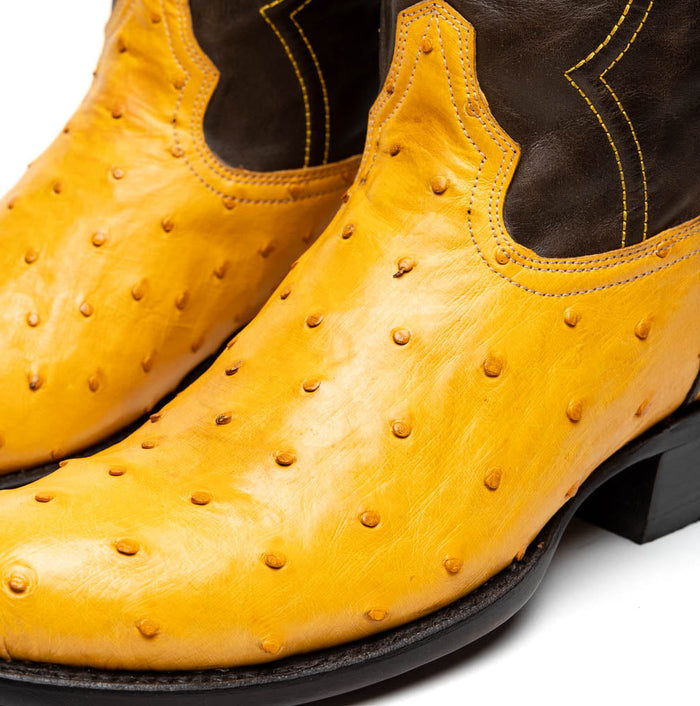 Marco_Di_Milano Savannah Buttercup Luxury Shoe