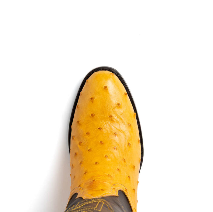Marco_Di_Milano Savannah Buttercup Luxury Shoe