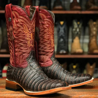 Bandit Print Caiman Square Toe Boots - Chocolate