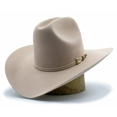 Texana Tombstone Horma Sonora 20X SilverBelly Beige