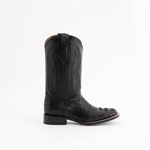 Ferrini Hornback Caiman Dakota