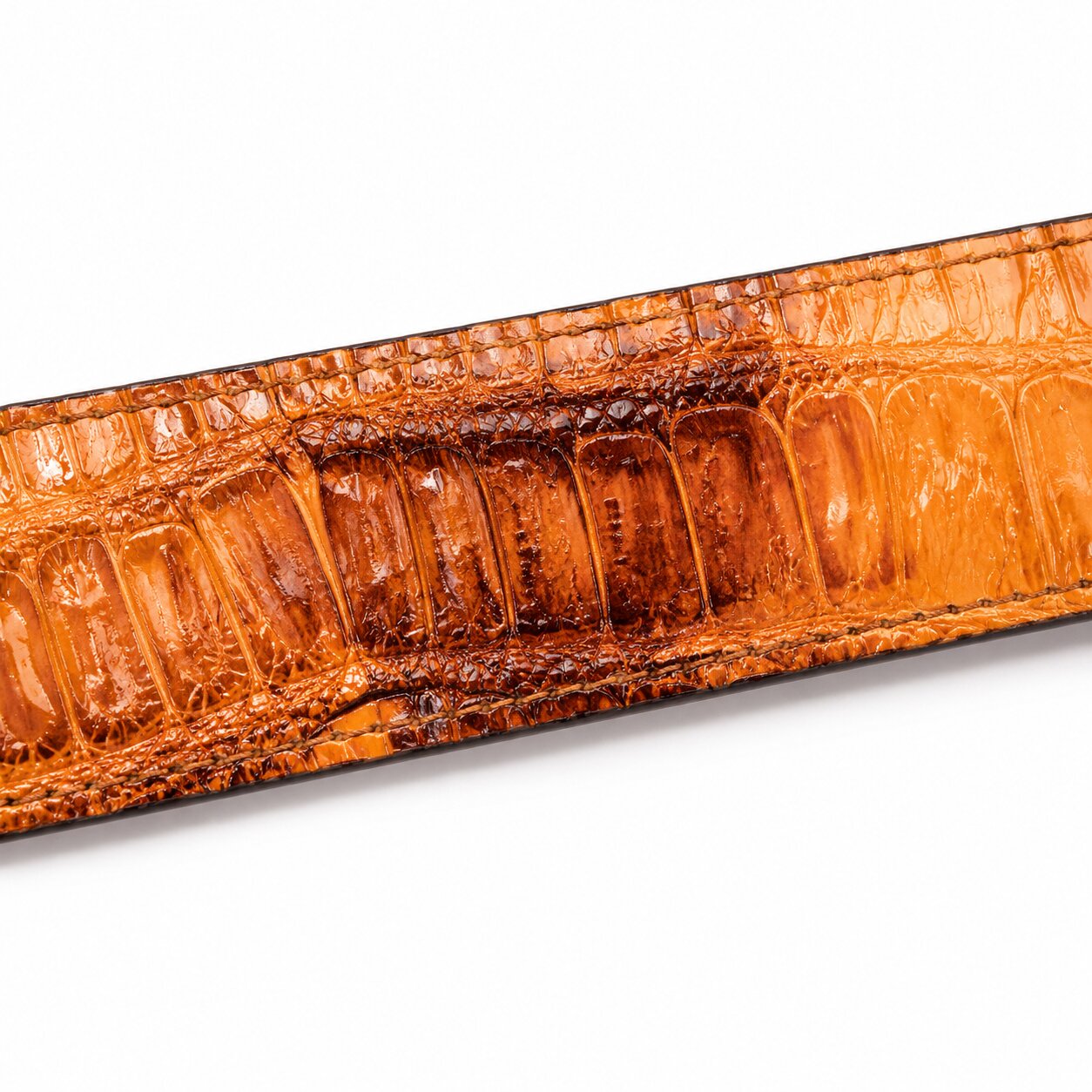 Caiman Skin Cowboy Belt by Wild West Boots