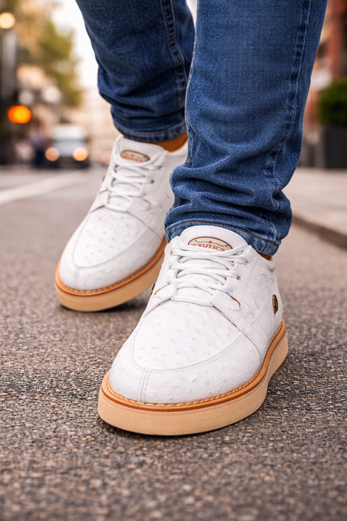 Zapato Casual Avestruz Completo LAB-ZA060328 by Los Altos Boots