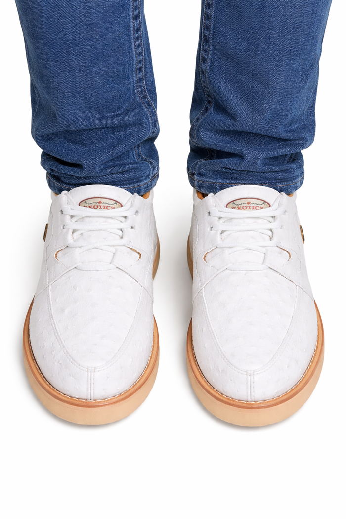 Zapato Casual Avestruz Completo LAB-ZA060328 by Los Altos Boots