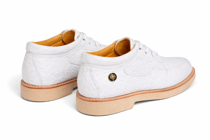 Zapato Casual Avestruz Completo LAB-ZA060328 by Los Altos Boots