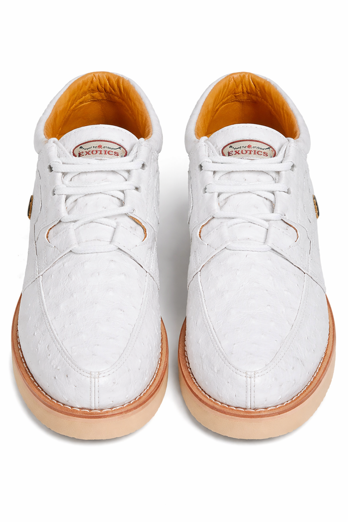 Zapato Casual Avestruz Completo LAB-ZA060328 by Los Altos Boots