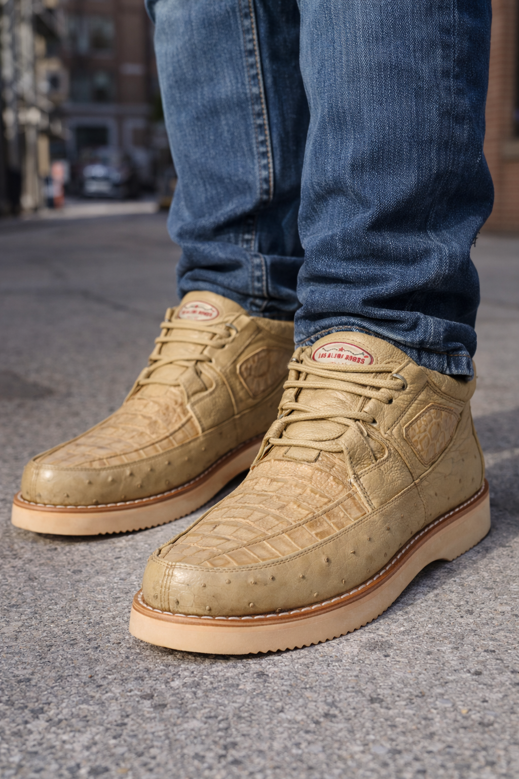 Zapato Caimán y Avestruz LAB-ZA0502 by Los Altos