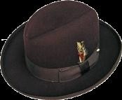 Brown Hat