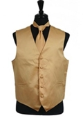 Vest Tie Set