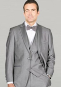 Men Grey Suit