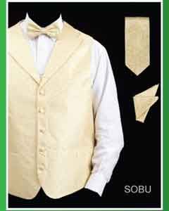 Men's Neck Ties - Mens Dress Tie - Trendy Mens Ties 4 Piece Groomsmen Wedding Vest ~ Waistcoat ~ Waist coat For Groom and Groomsmen Combo (Bow Groomsmen Ties, Hanky) - Lapelled Vest Sobu 