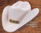  Western Hat Duranguense Style 10X Felt Hats By Authentic Los altos Silver Belly 
